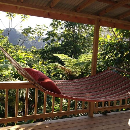 Roots Jungle Retreat Villa Marigot Luaran gambar
