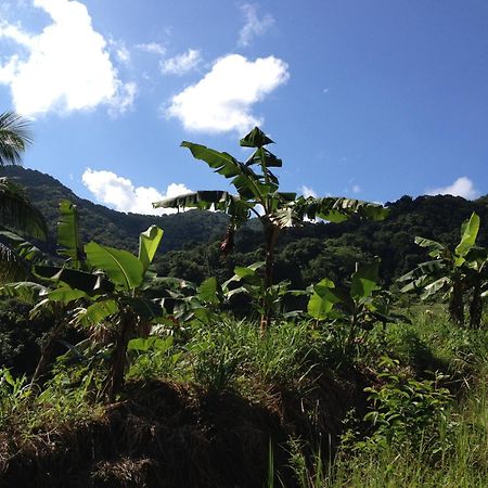Roots Jungle Retreat Villa Marigot Luaran gambar