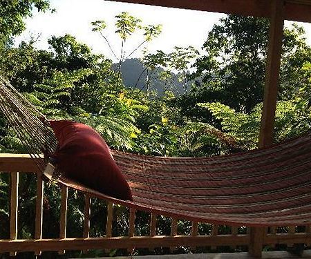 Roots Jungle Retreat Villa Marigot Luaran gambar