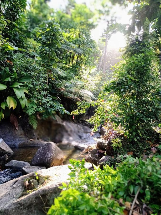 Roots Jungle Retreat Villa Marigot Luaran gambar