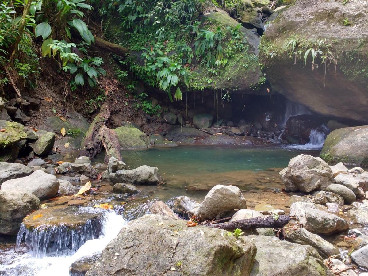Roots Jungle Retreat Villa Marigot Luaran gambar