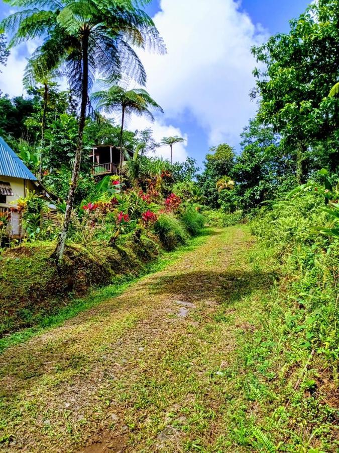 Roots Jungle Retreat Villa Marigot Luaran gambar