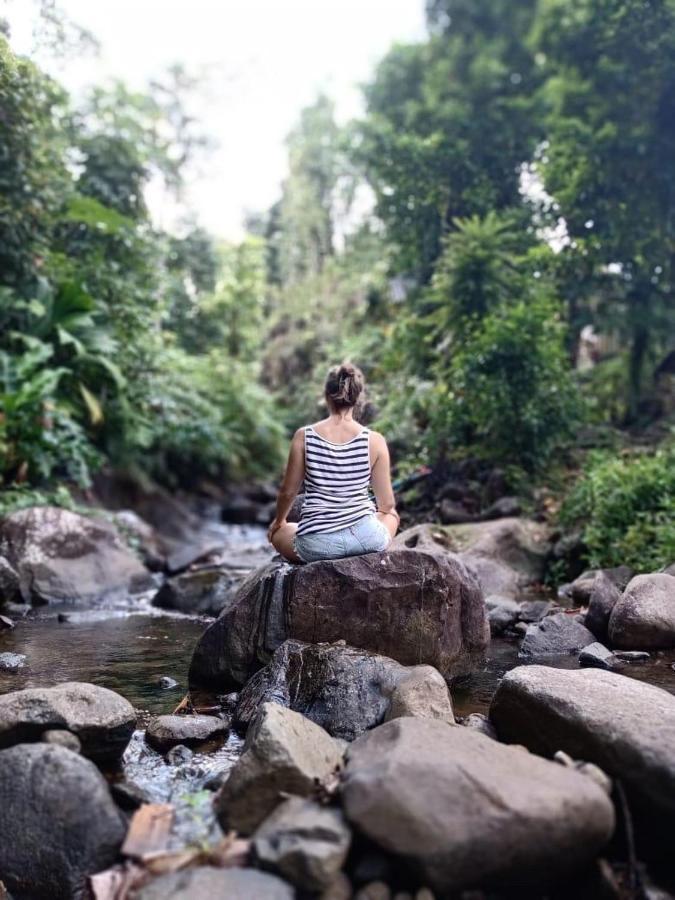 Roots Jungle Retreat Villa Marigot Luaran gambar