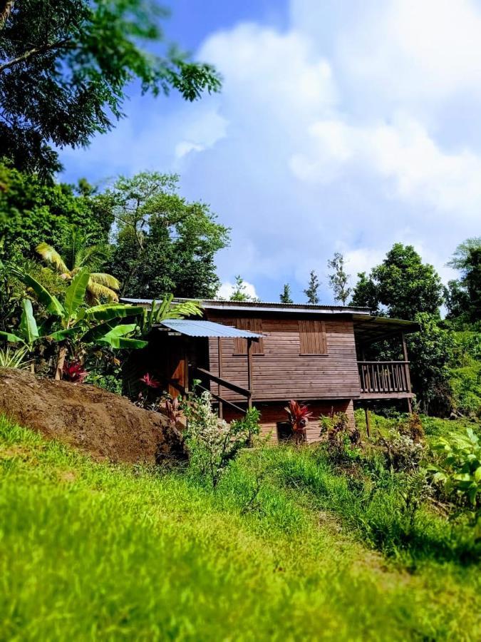 Roots Jungle Retreat Villa Marigot Luaran gambar