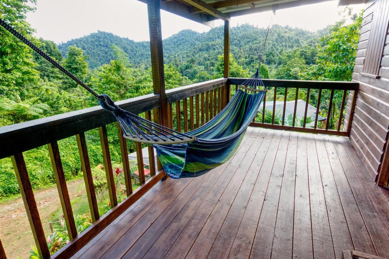 Roots Jungle Retreat Villa Marigot Luaran gambar