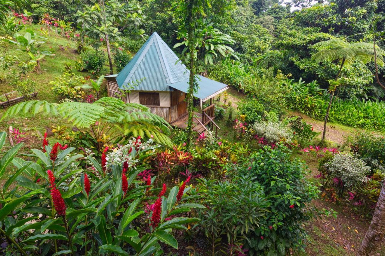 Roots Jungle Retreat Villa Marigot Luaran gambar