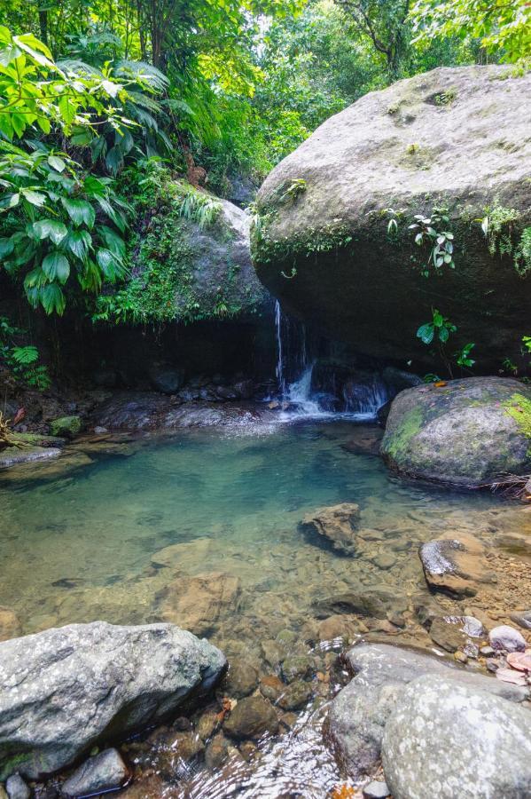 Roots Jungle Retreat Villa Marigot Luaran gambar