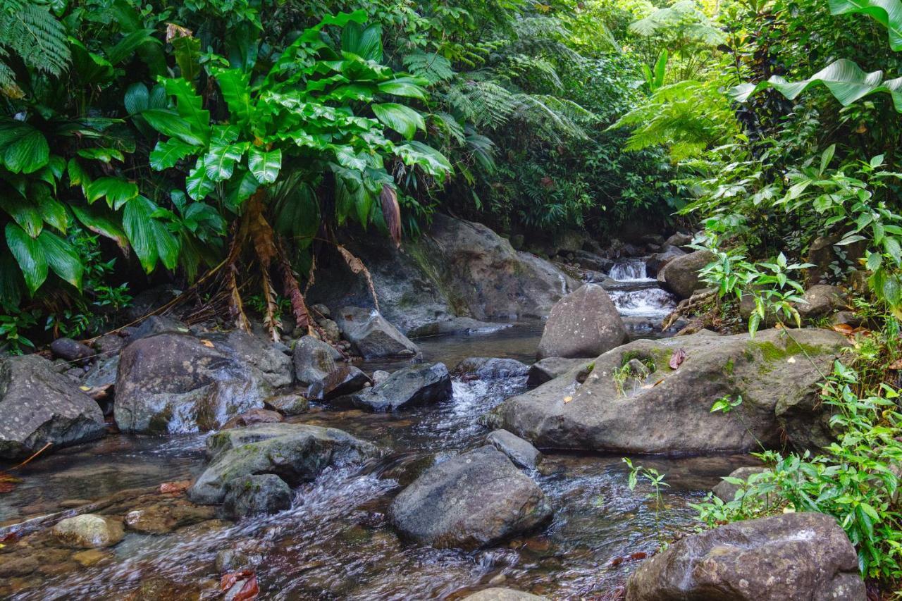 Roots Jungle Retreat Villa Marigot Luaran gambar