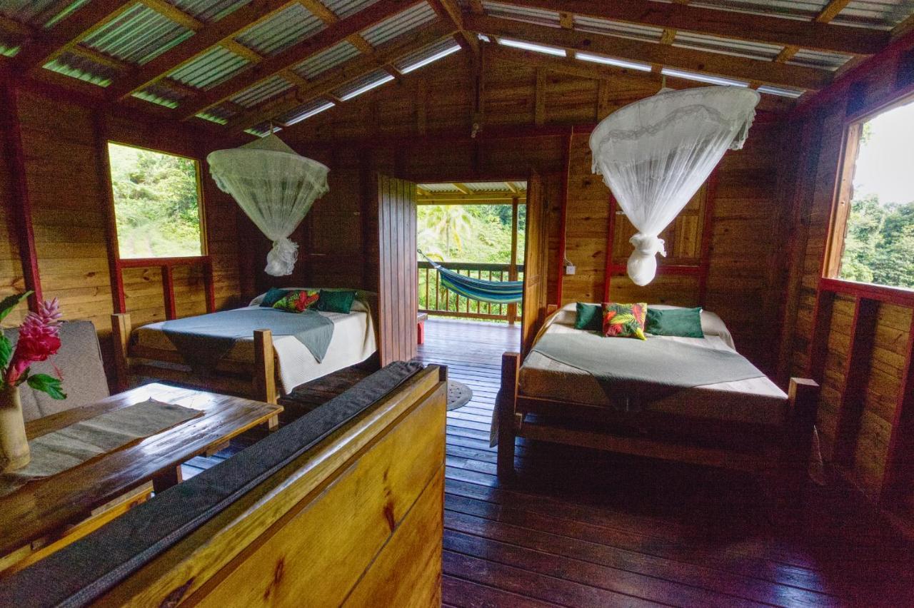 Roots Jungle Retreat Villa Marigot Luaran gambar