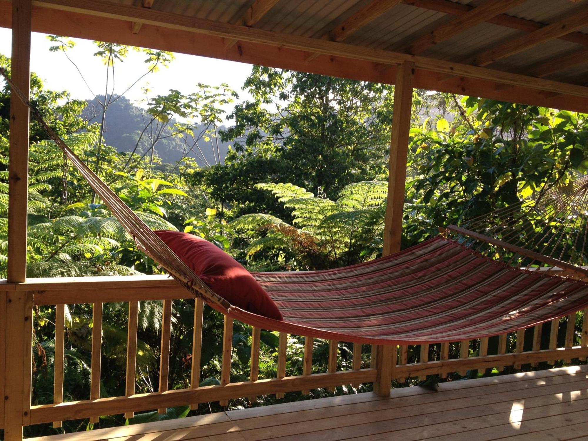 Roots Jungle Retreat Villa Marigot Luaran gambar