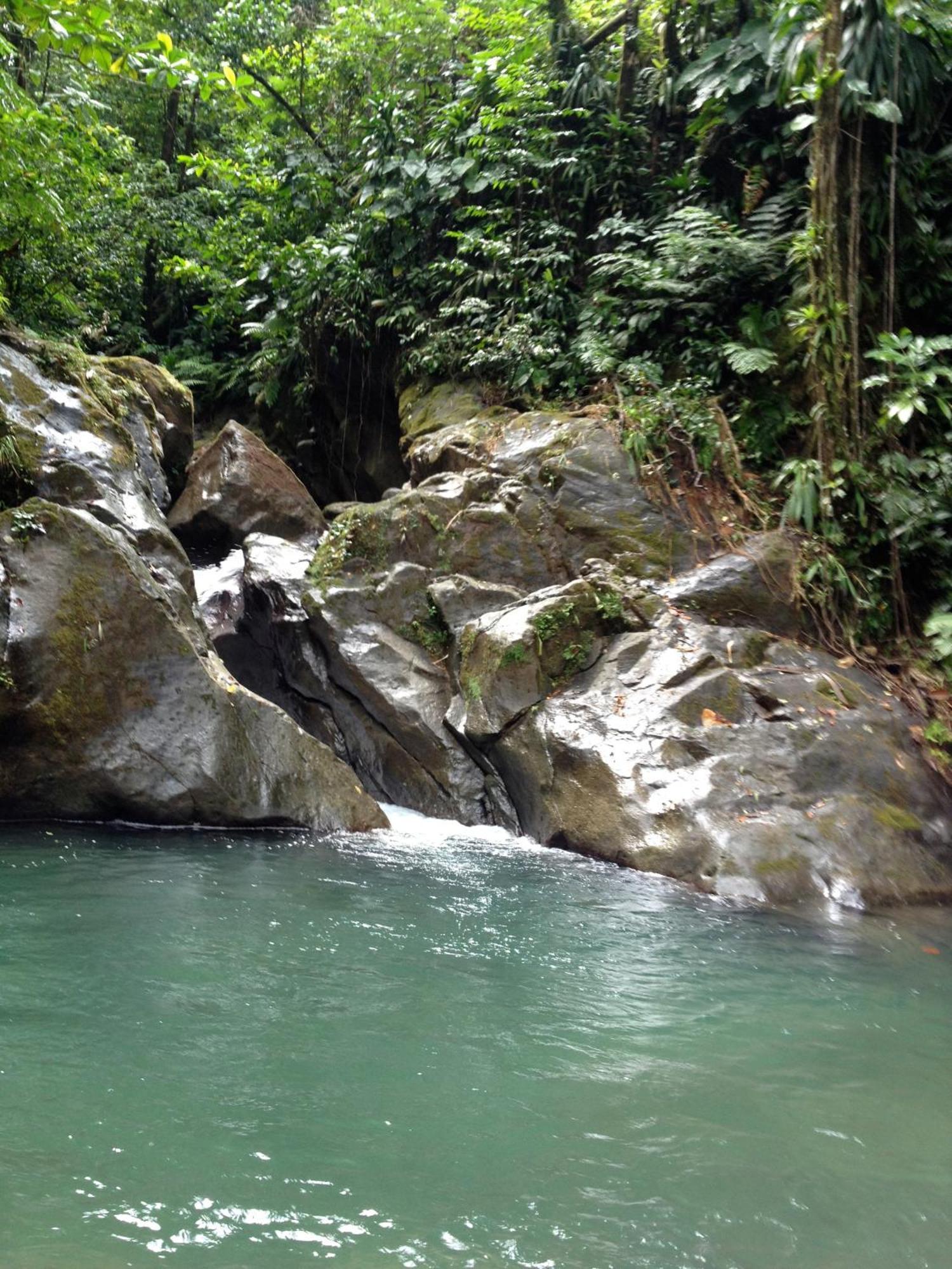 Roots Jungle Retreat Villa Marigot Luaran gambar
