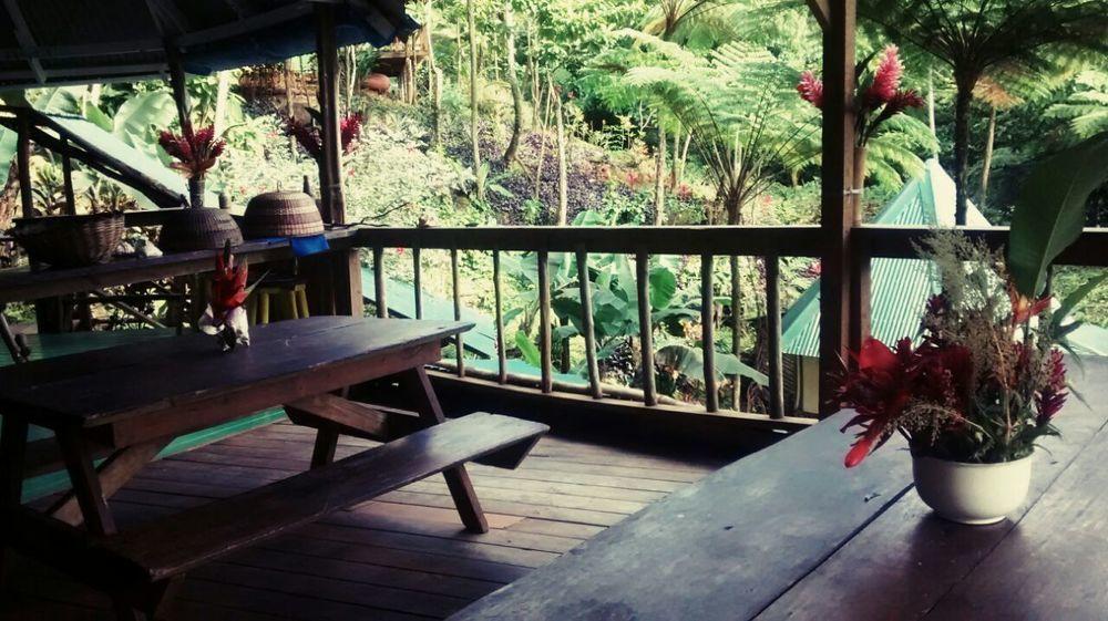 Roots Jungle Retreat Villa Marigot Luaran gambar