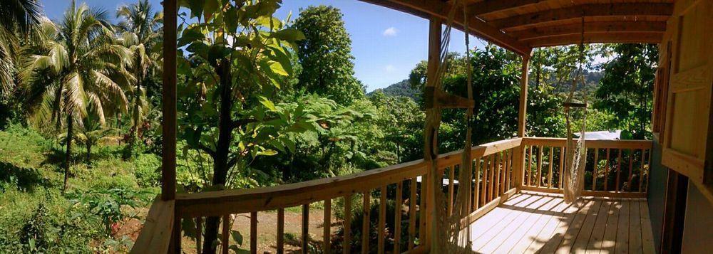 Roots Jungle Retreat Villa Marigot Luaran gambar