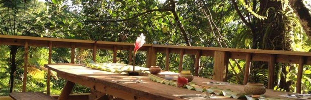 Roots Jungle Retreat Villa Marigot Luaran gambar