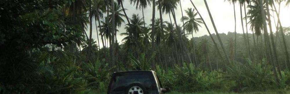 Roots Jungle Retreat Villa Marigot Luaran gambar