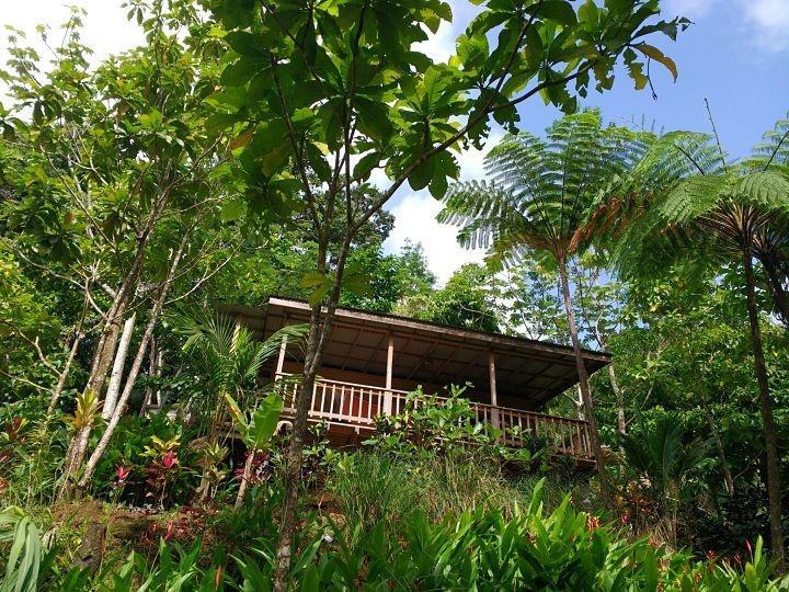 Roots Jungle Retreat Villa Marigot Luaran gambar