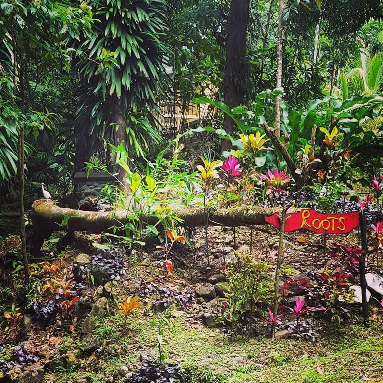 Roots Jungle Retreat Villa Marigot Luaran gambar