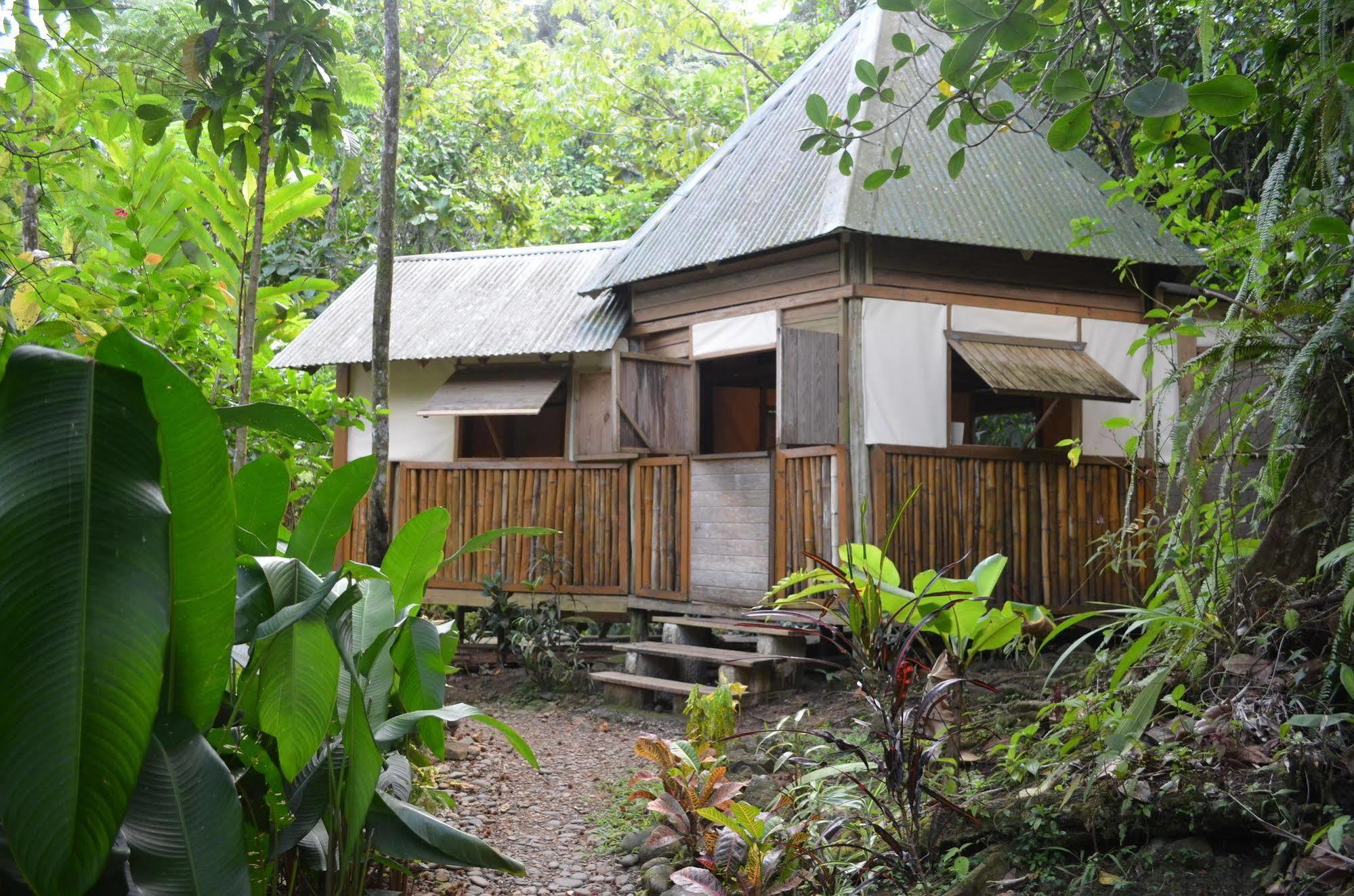 Roots Jungle Retreat Villa Marigot Luaran gambar