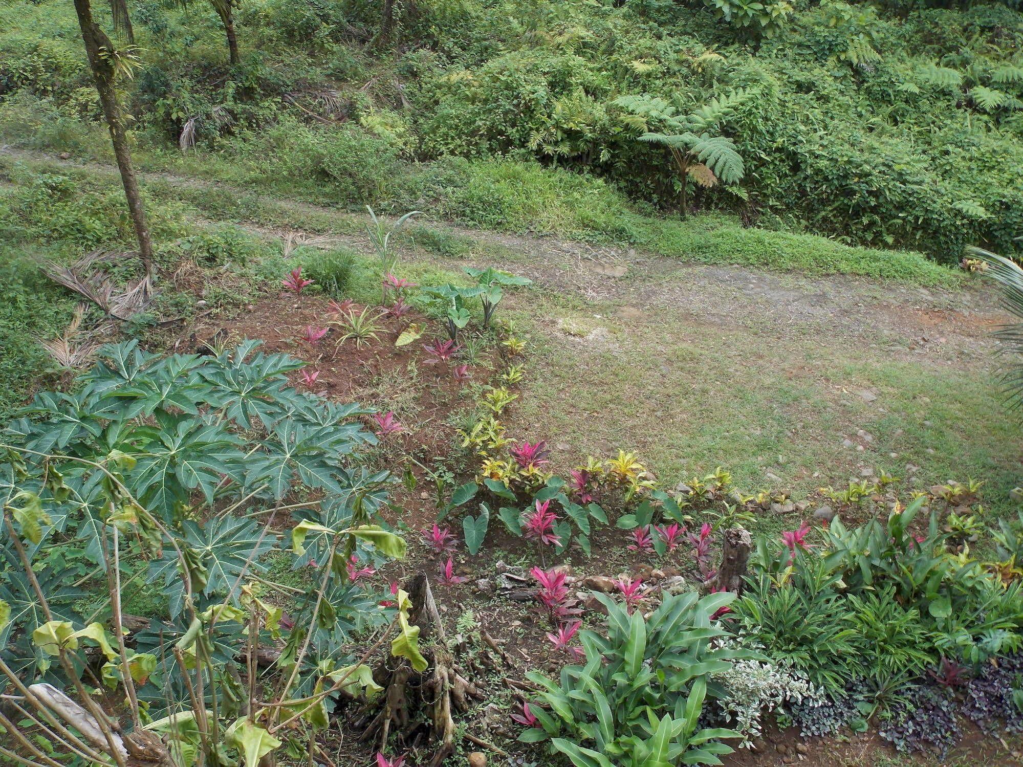 Roots Jungle Retreat Villa Marigot Luaran gambar
