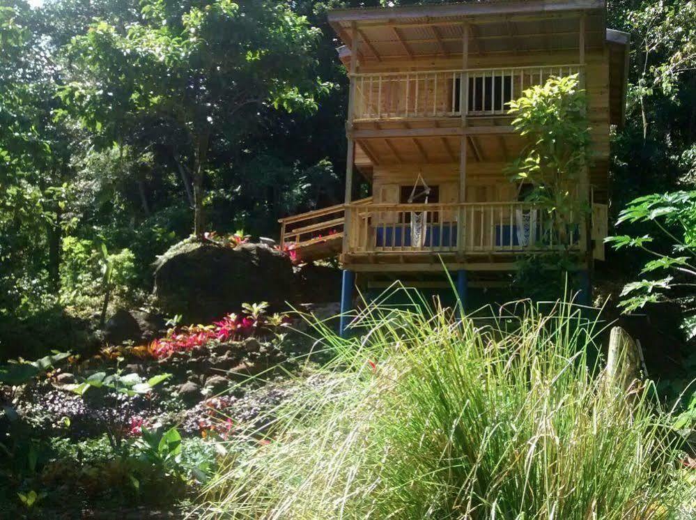 Roots Jungle Retreat Villa Marigot Luaran gambar